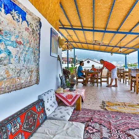 Hotel Puya